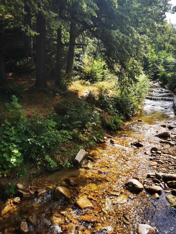 Chillout-Aparts Świeradów-Zdrój Buitenkant foto