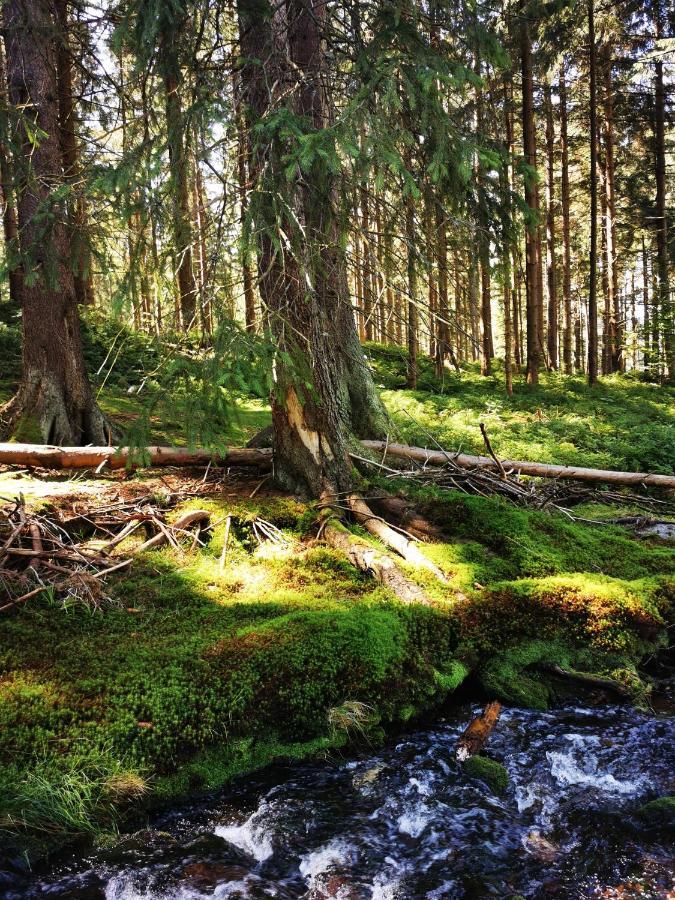 Chillout-Aparts Świeradów-Zdrój Buitenkant foto